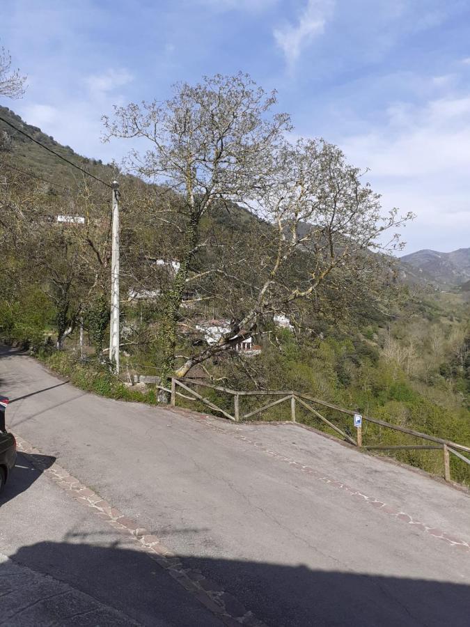 Aparatamento Rural El Oso 3 Pola de Somiedo Zewnętrze zdjęcie